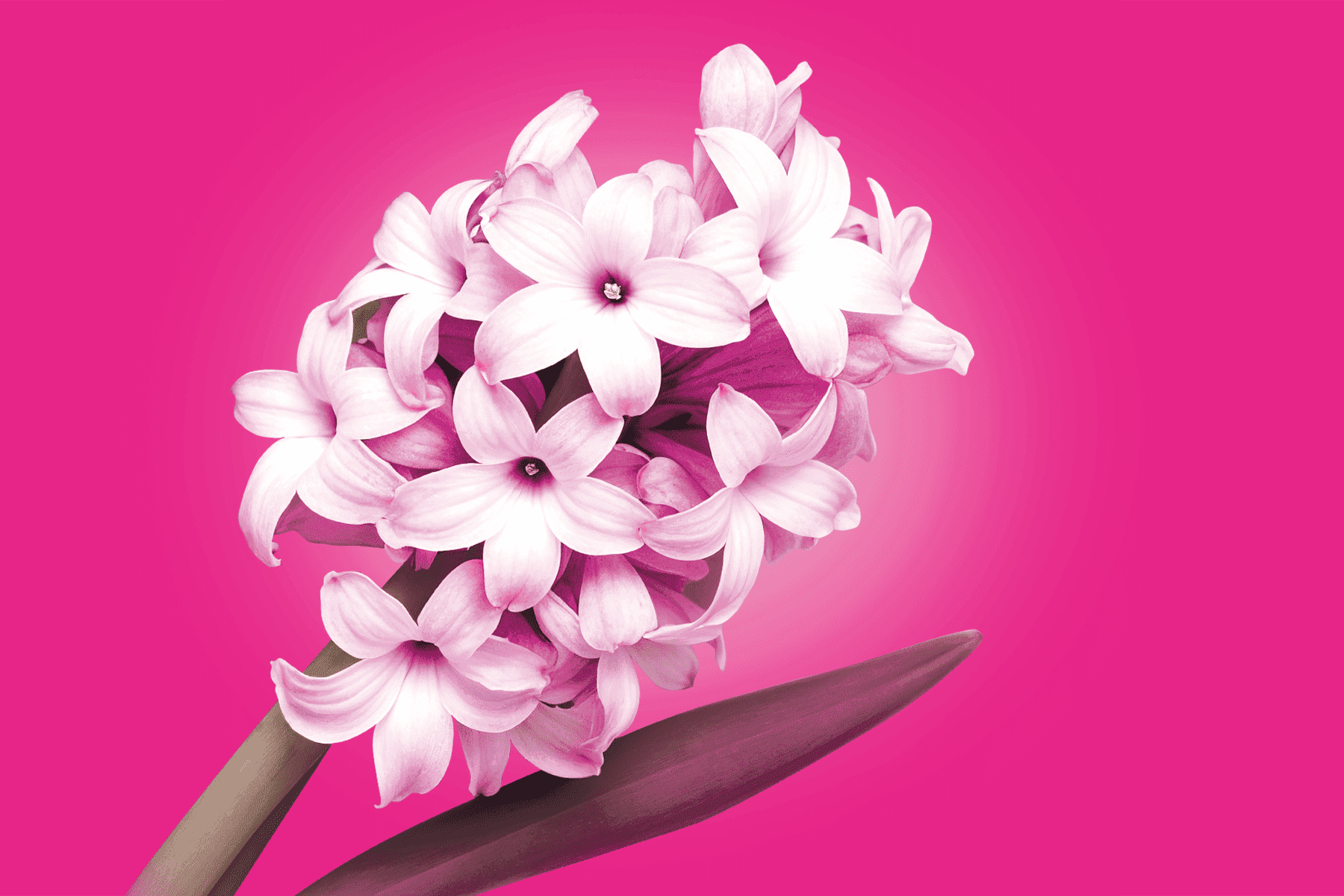 Tele2: Изображение баннера