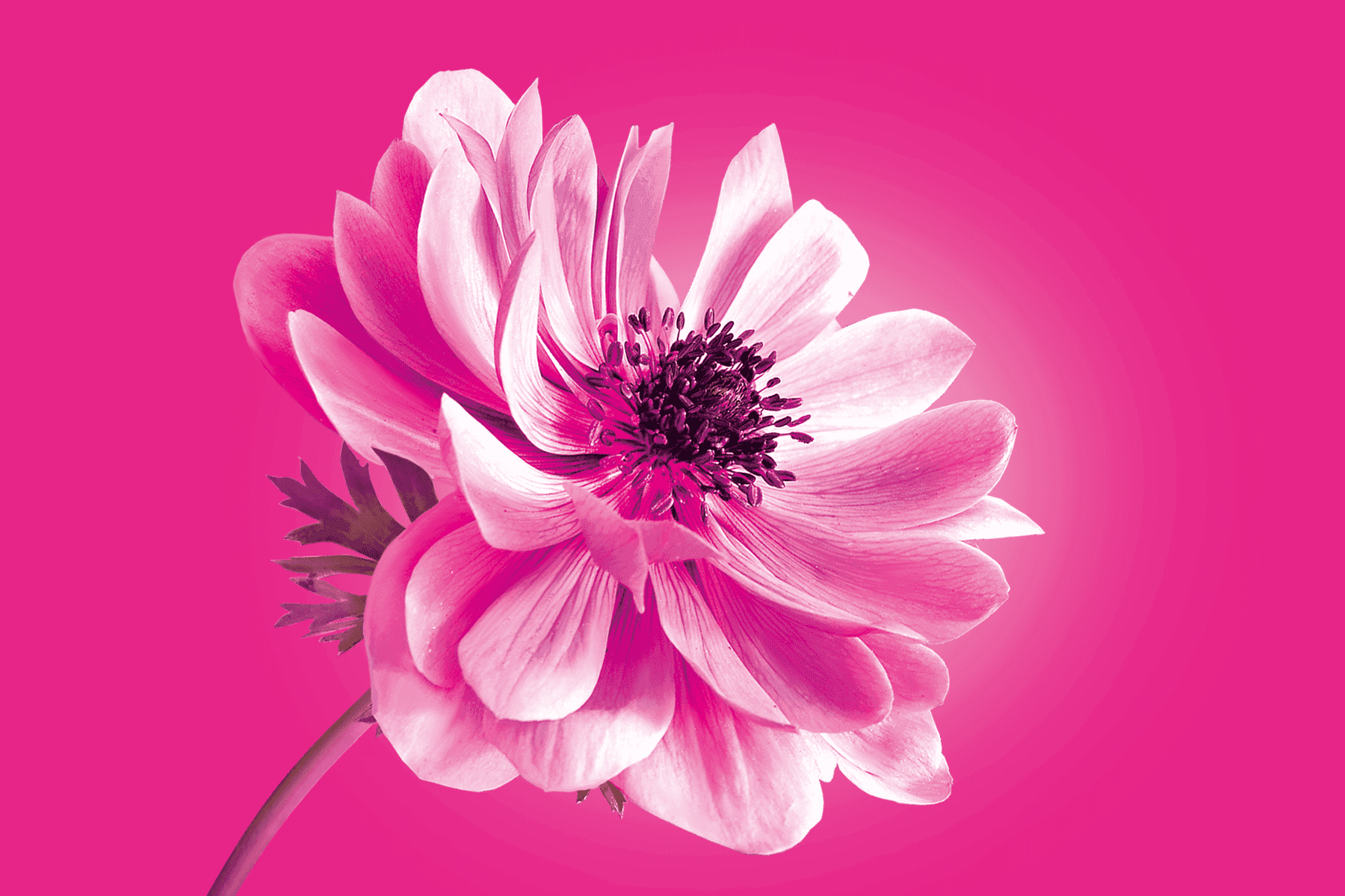 Tele2: Изображение баннера