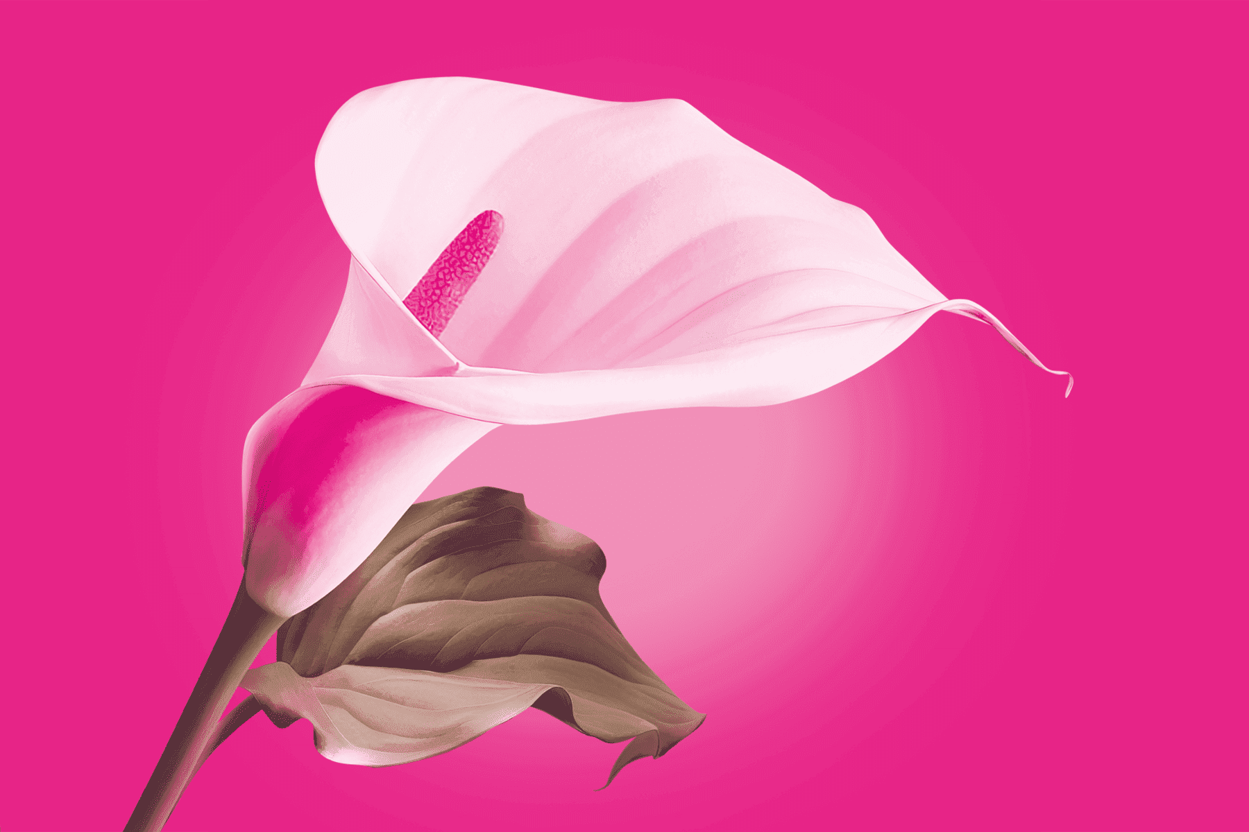 Tele2: Изображение баннера