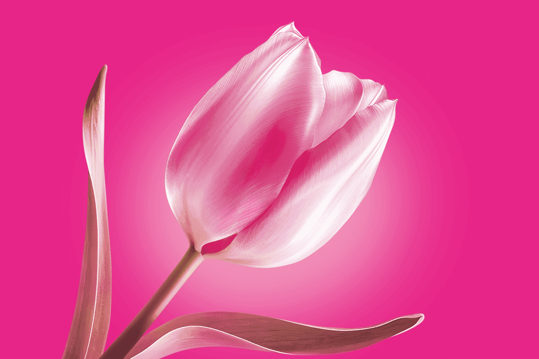 Tele2: Изображение баннера