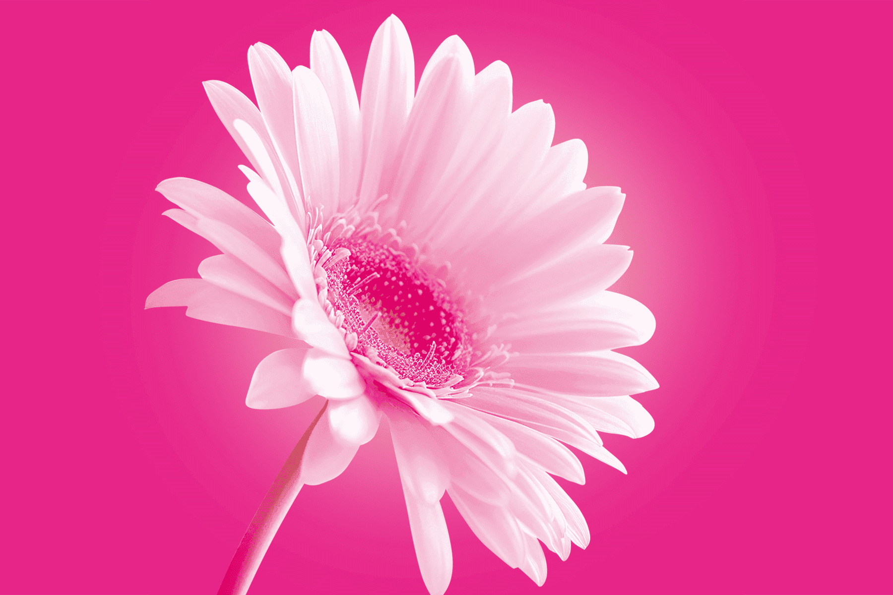 Tele2: Изображение баннера